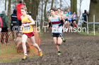 Boys under-13s, 2020 British Athletics Inter Counties Cross Country Champs., Prestwold Hall, Loughborough. Photo: David T. Hewitson/Sports for All Pics